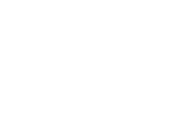 Linanda consulting Logo w